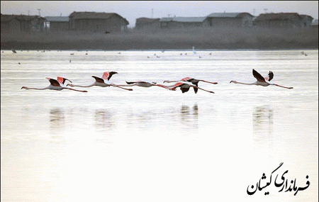 جاذبه گردشگری شهرستان گمیشان