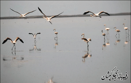 جاذبه گردشگری شهرستان گمیشان