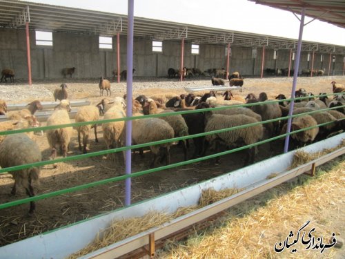 بازدید پروژه های قابل افتتاح هفته دولت شهرستان گمیشان