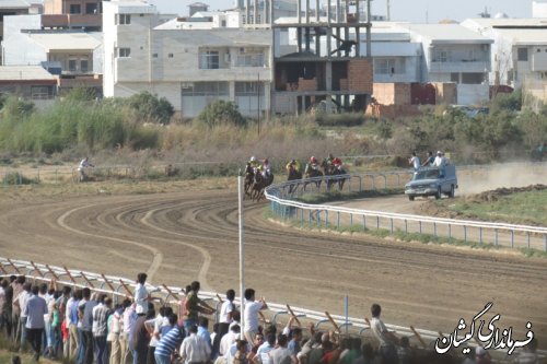 رایزنی فرماندار گمیشان با مدیرکل امور مجلس وزارت ورزش وجوانان برای راه اندازی بزرگترین مرکزمسابقه اسب دوانی درگمیشان