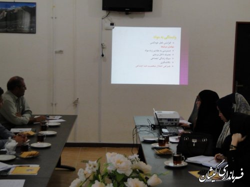 دومین جلسه کمیته پیشگیری از خودکشی شهرستان