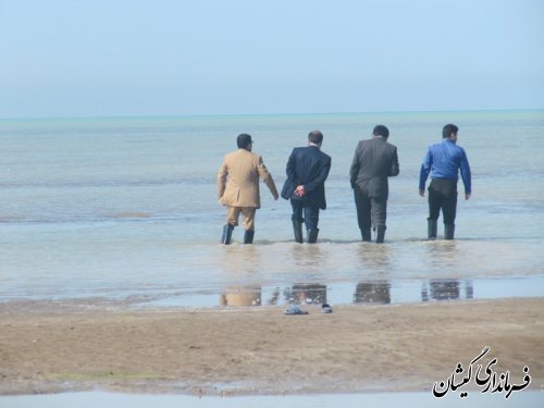 پرواز بادبادک ها در سواحل زیبای روستای چارقلی شهرستان گمیشان