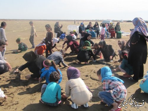 پرواز بادبادک ها در سواحل زیبای روستای چارقلی شهرستان گمیشان