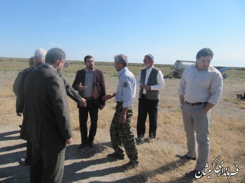 ورود دامداران به مراتع شمال گمیشان