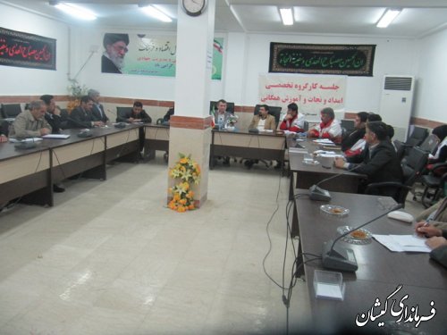 جلسه کارگروه تخصصی امداد ونجات وآموزش همگانی شهرستان گمیشان