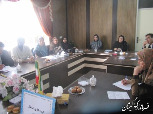 دومین جلسه گروه کاری اشتغال بانوان شهرستان گمیشان