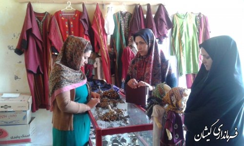 بازدید کارشناس امور بانوان فرمانداری گمیشان از تعاونی گل بهار گمیشان