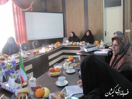 جلسه بررسی مسائل ومشکلات بانوان شهرستانهای غرب استان در گمیشان
