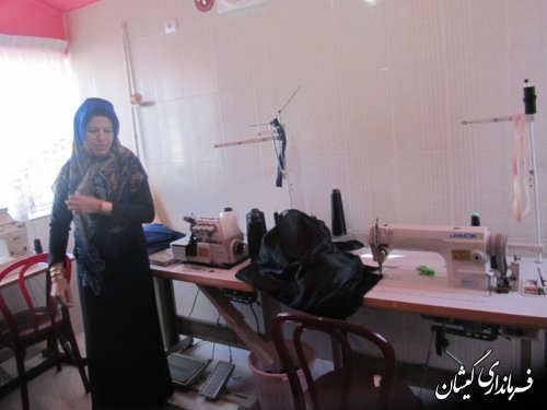 جلسه بررسی مسائل ومشکلات بانوان شهرستانهای غرب استان در گمیشان