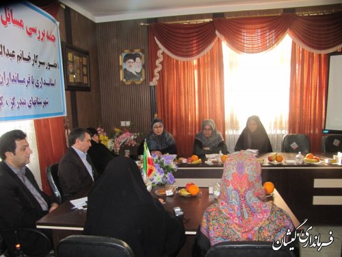 جلسه بررسی مسائل ومشکلات بانوان شهرستانهای غرب استان در گمیشان
