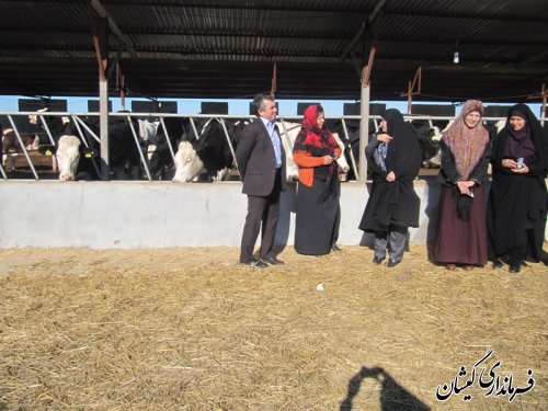 جلسه بررسی مسائل ومشکلات بانوان شهرستانهای غرب استان در گمیشان