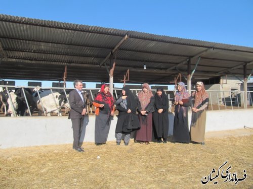 جلسه بررسی مسائل ومشکلات بانوان شهرستانهای غرب استان در گمیشان