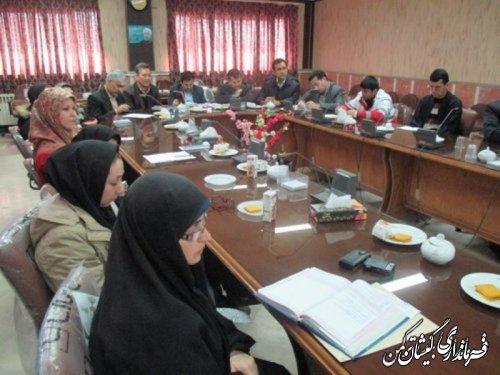 نشست بررسی مسائل ومشکلات بانوان غرب استان به میزبانی بندرترکمن برگزار شد