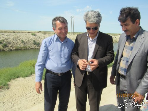 سایت پرورش میگو گمیشان پروژه مهم اقتصادی و اشتغالزایی منطقه است