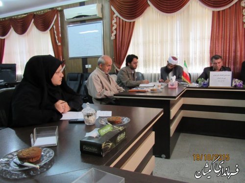 استفاده از ظرفیت های فرهنگی  باعث رونق فرهنگ کتابخوانی می شود