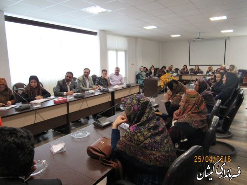 نشست بانوان بافنده شبکه تولید فرش شهرستان با فرماندار گمیشان برگزار شد