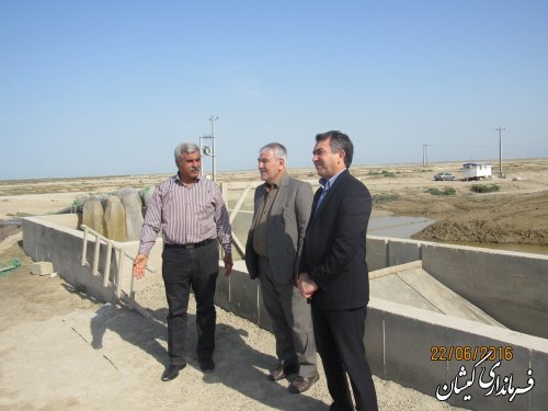 بازدید مدیر کل حراست استانداری از سایت میگوی گمیشان