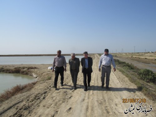 بازدید مدیر کل حراست استانداری از سایت میگوی گمیشان