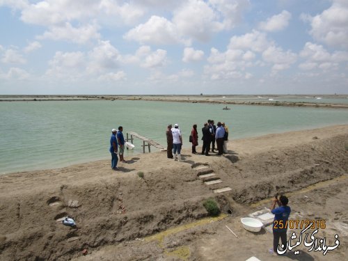 بازدید گروه سرمایه گذاری کشور مجارستان از ظرفیت های شهرستان گمیشان