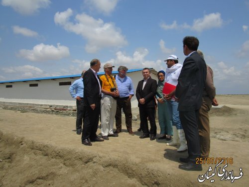بازدید گروه سرمایه گذاری کشور مجارستان از ظرفیت های شهرستان گمیشان