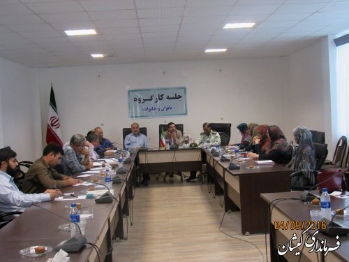 جلسه کارگروه بانوان و خانواده شهرستان گمیشان برگزار شد