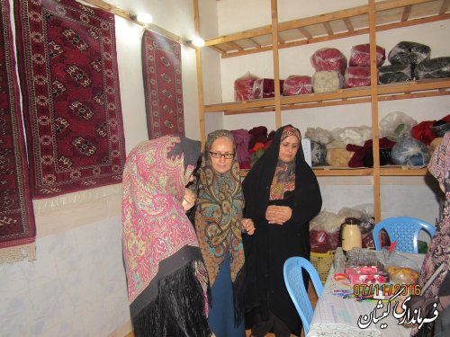 بازدید مدیر کل امور بانوان و خانواده استانداری از مشاغل خانگی و تعاونی های بانوان