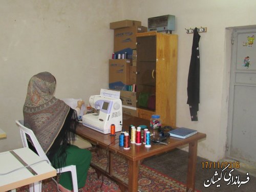 دولت حمایت های ویژه ای را از طرح های مشاغل خانگی انجام می دهد