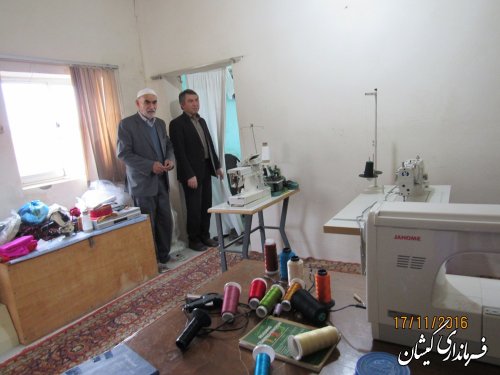 دولت حمایت های ویژه ای را از طرح های مشاغل خانگی انجام می دهد