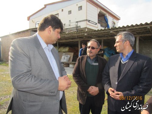 نشست هماهنگی احداث ساختمان آموزش فنی و حرفه ای شهرستان گمیشان