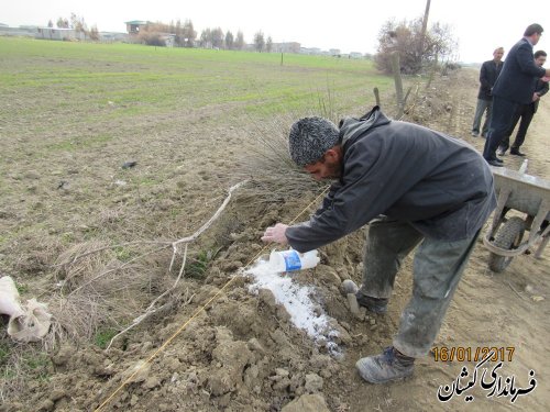 بازدید فرماندار گمیشان از عملیات آماده سازی کاشت نهال محور گمیش تپه به خواجه نفس