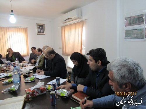 نشست هماهنگی احداث مراکز تکثیر میگو گمیشان