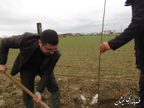 اولین مرحله نهال کاری مسیر گمیش تپه به خواجه نفس انجام شد