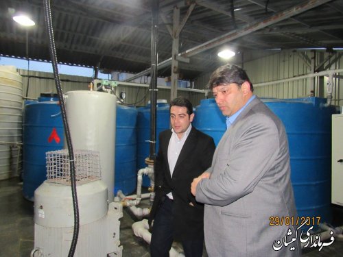 بازدید فرماندار گمیشان از کارخانه پنیر آشوراده
