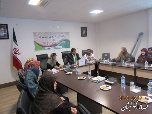 کارگاه آموزشی شناخت سرطان ویژه زنان شاغل در ادارات شهرستان برگزار شد