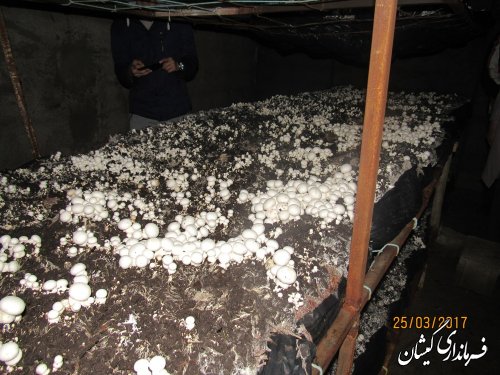 طرح های اقتصاد مقاومتی را با هدف تولید و اشتغال در شهرستان عملیاتی خواهیم کرد