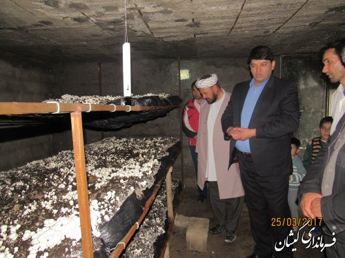 طرح های اقتصاد مقاومتی را با هدف تولید و اشتغال در شهرستان عملیاتی خواهیم کرد