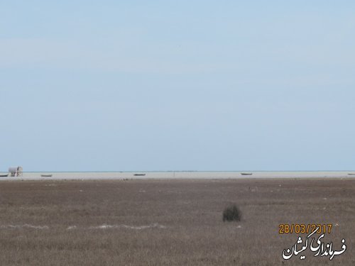 بازدید فرماندار گمیشان از سواحل آرام و ماسه ای چارقلی