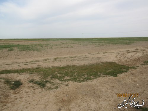 بازدید فرماندار گمیشان از سطح مزارع شمال شهرستان