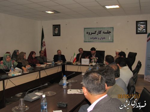 اولین جلسه کارگروه بانوان و خانواده شهرستان گمیشان برگزار شد