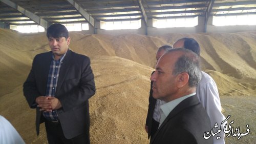 بازدید فرماندار گمیشان از مرکز خرید تضمینی جو شرکت تعاونی مختومقلی سیمین شهر