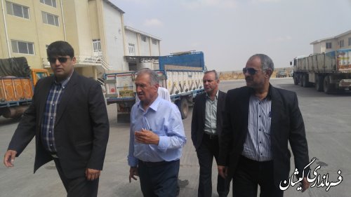 بازدید فرماندار گمیشان از مراکز خرید تضمینی گندم