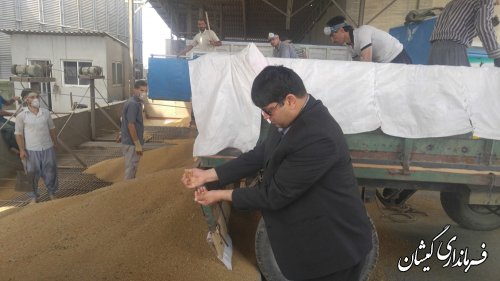 بازدید فرماندار گمیشان از مراکز خرید تضمینی گندم