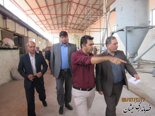 گمیشان استعداد لازم برای تبدیل شدن به قطب اقتصادی را دارد