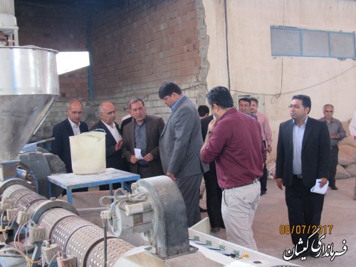 گمیشان استعداد لازم برای تبدیل شدن به قطب اقتصادی را دارد