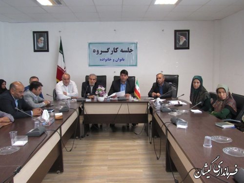 جلسه کارگروه بانوان و خانواده شهرستان گمیشان برگزار شد