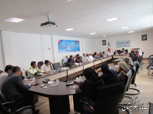 جلسه کارگروه بانوان و خانواده شهرستان گمیشان برگزار شد