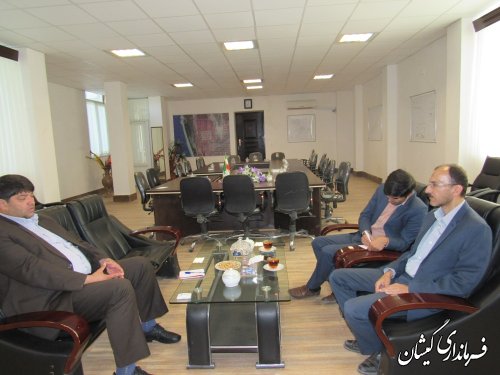 گمیشان ظرفیت های خوبی را در حوزه طرح های اقتصاد مقاومتی دارد