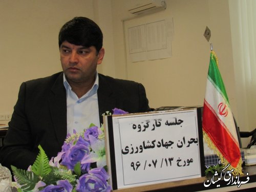 ترویج بیمه کشاورزی و استفاده از گونه های مقاوم در سطح شهرستان