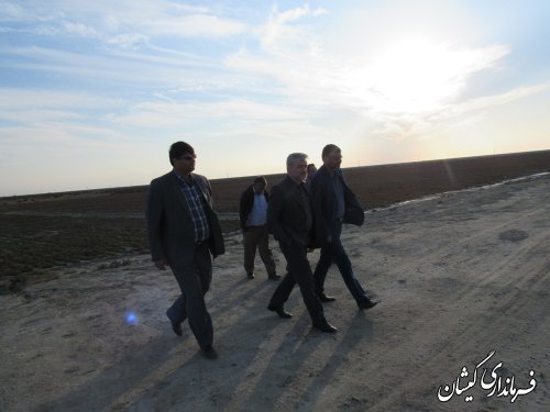 بازید معاون هماهنگی امور عمرانی استاندار از پروژه کاشت سالی کورنیا