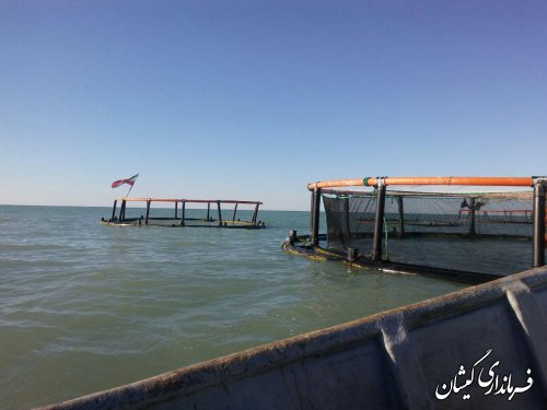رویکرد پروژه های اقتصاد مقاومتی ایجاد اشتغال در کشور است